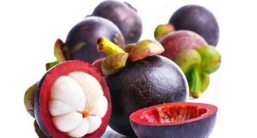 “山竹”的產(chǎn)地是哪里