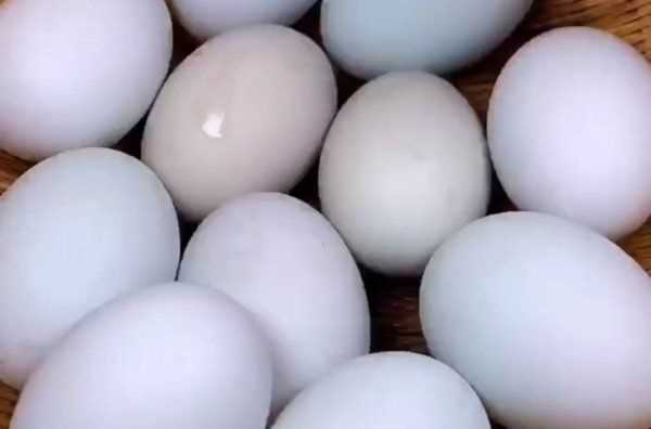 怎么腌鴨蛋又出油又起沙又好吃,腌咸鴨蛋不用鹽水也不用泥水圖3