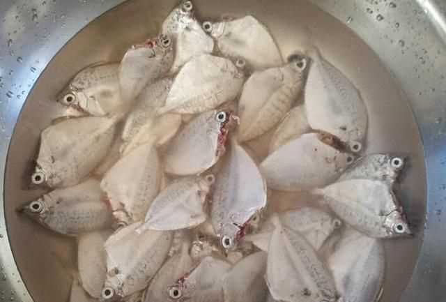 夏天怎么曬魚(yú)干不臭