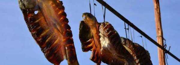 怎么做魚(yú)干夏天不臭,夏天怎么曬魚(yú)干不臭圖2