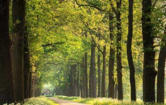 森林防火嚴(yán)戒期是什么時(shí)候,森林防火嚴(yán)戒期是什么時(shí)候開(kāi)始圖5