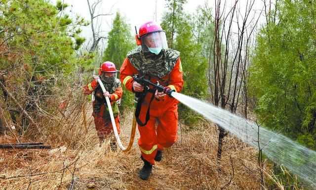 每年什么時(shí)間段屬于森林防火戒期什么時(shí)候