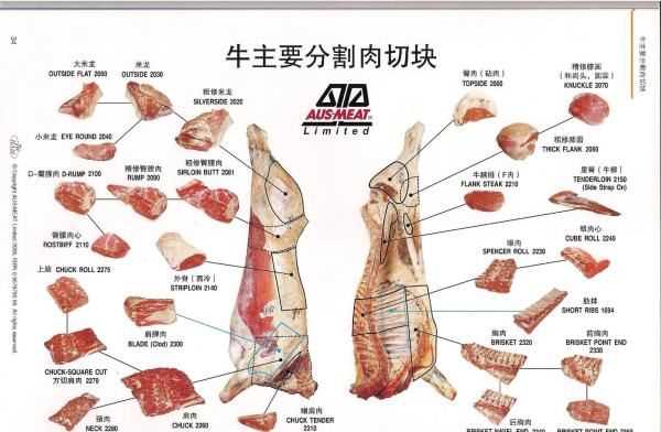 牛胸口是哪個(gè)部位,牛胸是哪個(gè)部位的肉圖5