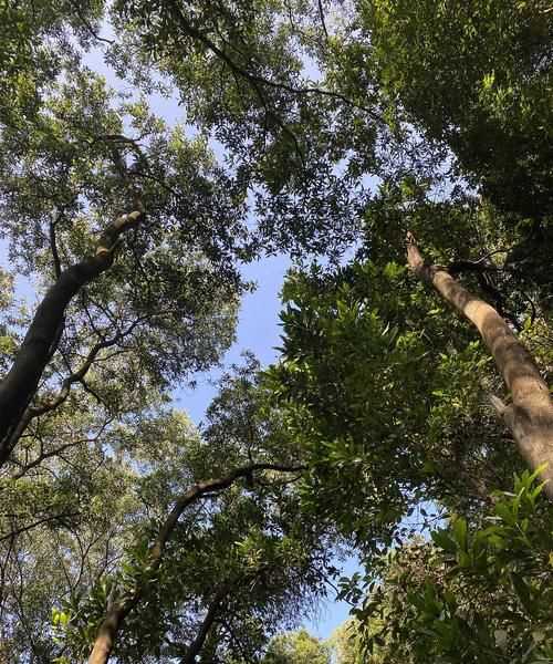 雪孩子變成白云還會(huì)做什么好事