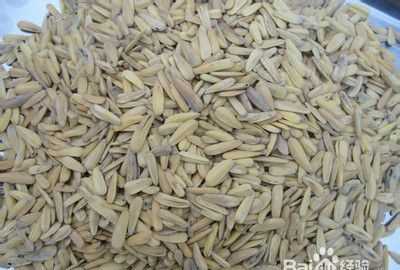 怎樣辨別瓜子是否添加滑石粉