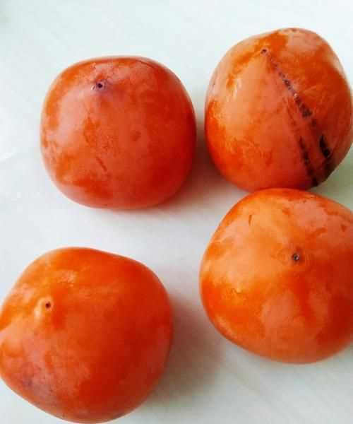 柿子冰箱凍的正確方法