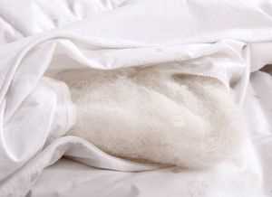 被子用的時間長有一股異味而且很潮濕，應該怎么辦