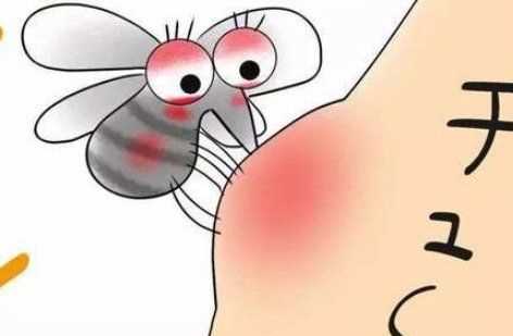 孕婦的臥室如何除蚊子,孕婦可以用哪些來驅(qū)蚊子的 - 百度寶寶知道圖8