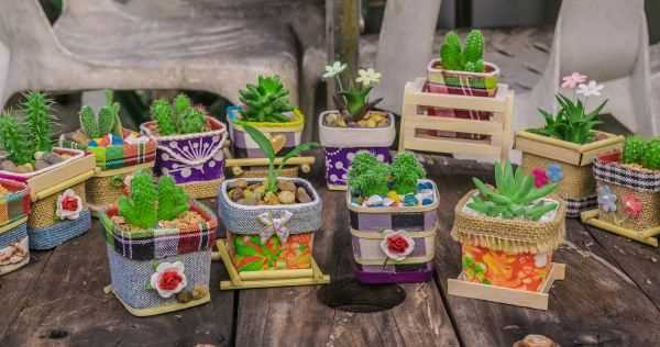 怎樣能讓屋里沒有潮蟲,家里為什么有潮蟲圖2