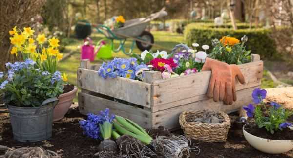 怎樣能讓屋里沒有潮蟲,家里為什么有潮蟲圖3