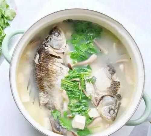 怎么蒸鯽魚湯不腥