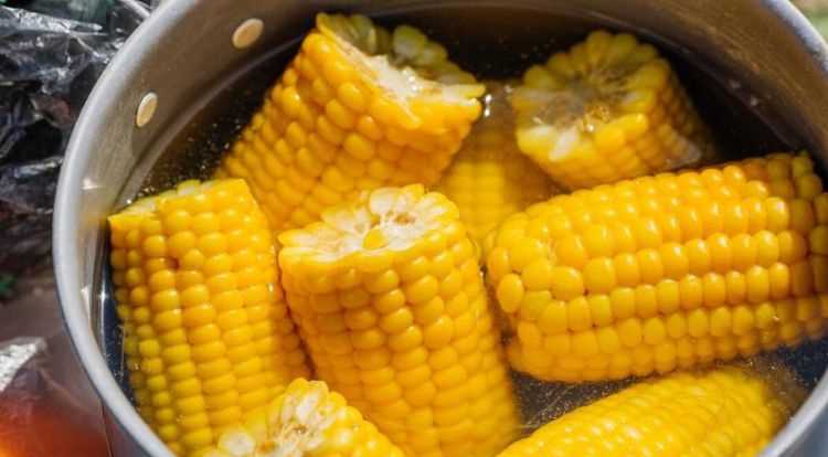 一般玉米要煮多久才熟大火嗎