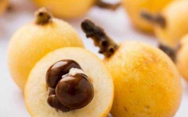 東山白玉枇杷的特點,蘇州東山白玉枇杷蜜好喝嗎圖5