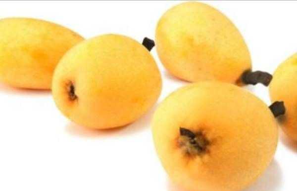 東山白玉枇杷的特點,蘇州東山白玉枇杷蜜好喝嗎圖8