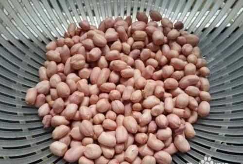 煮花生在冰箱里能保存多長時間呢