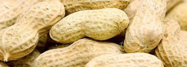 花生放冰箱可以放多久,新鮮花生放冰箱可以冷藏幾天圖4