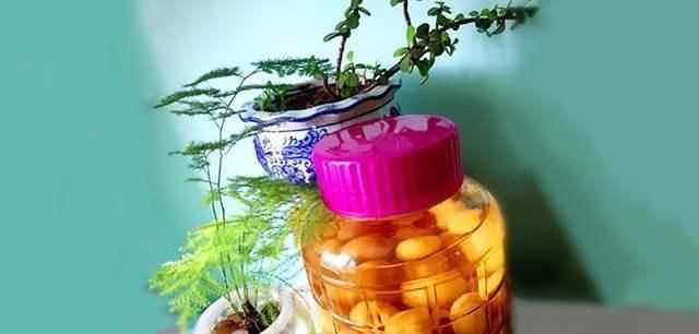 琵琶水果可以泡酒嗎