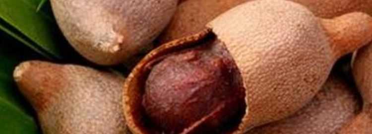 酸角真的好酸有什么辦法讓它吃起來好吃點呢