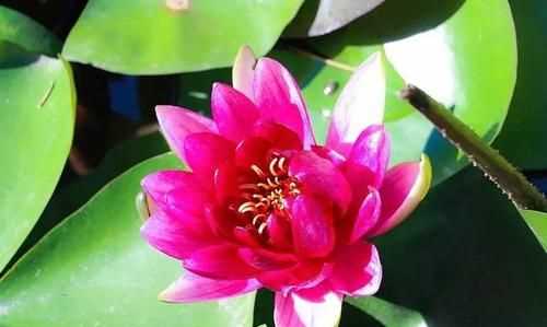 夏末和初秋的網名意思