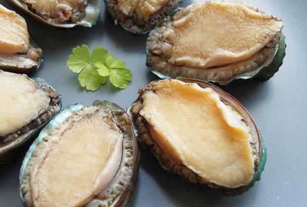 鮑魚(yú)如何保存 儲(chǔ)藏鮑魚(yú)的方法視頻