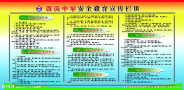 關于安全的知識高中生