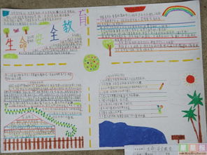 學安全知識為生命護航的手抄報