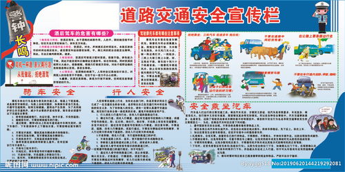 農村道路道路交通安全宣傳知識