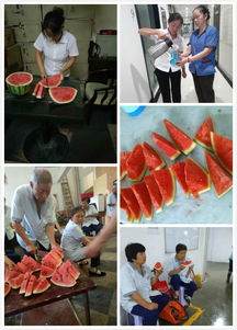 夏天保潔員安全知識