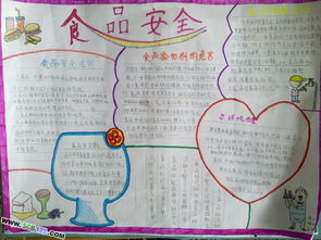 簡單又漂亮食品安全知識手抄報