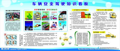 車(chē)輛駕駛安全知識(shí)資料文檔