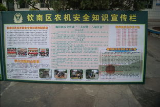 交通安全知識講座讀后感的作文四百字