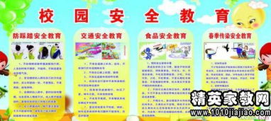 《安全知識(shí)》心得體會(huì)