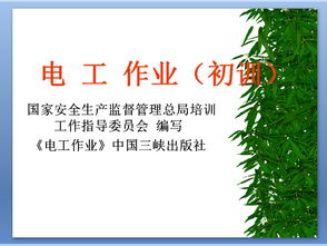 電工安全基礎(chǔ)知識(shí)培訓(xùn)ppt