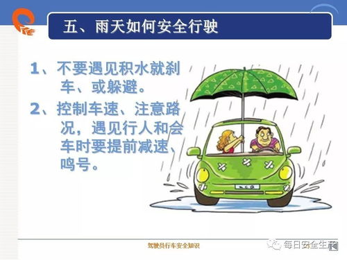 人員車輛安全知識(shí)