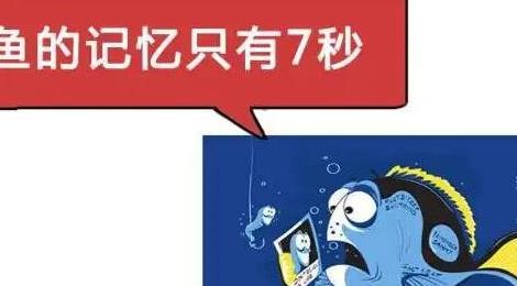 魚的記憶真的只有7秒嗎