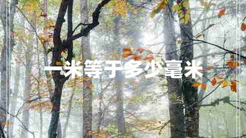 一米等于多少毫米 一米等于多少毫米