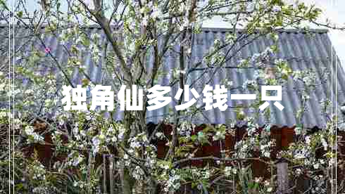 獨(dú)角仙多少錢一只