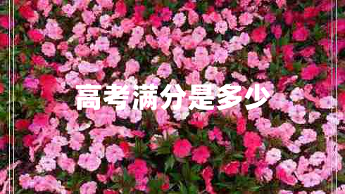 高考滿分是多少