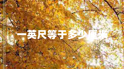 一英尺等于多少厘米