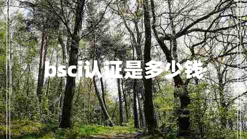 bsci認(rèn)證是多少錢
