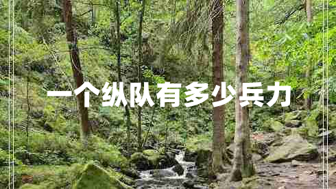 一個(gè)縱隊(duì)有多少兵力