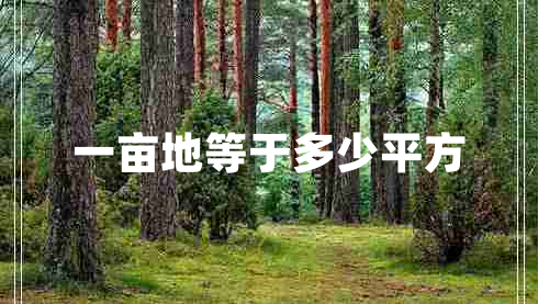 一畝地等于多少平方 一畝地等于多少平方