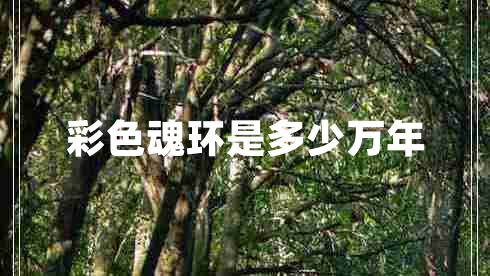 彩色魂環(huán)是多少萬年 彩色魂環(huán)是多少萬年