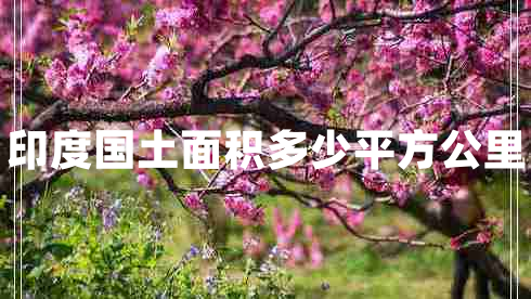 印度國土面積多少平方公里