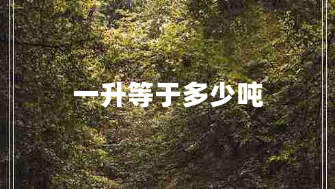 一升等于多少噸