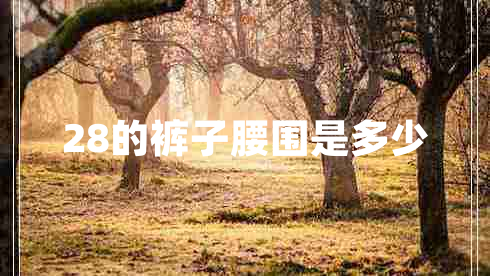 28的褲子腰圍是多少