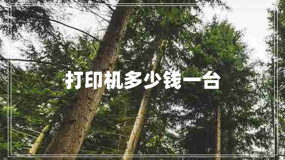 打印機(jī)多少錢一臺