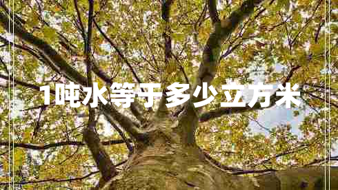 1噸水等于多少立方米