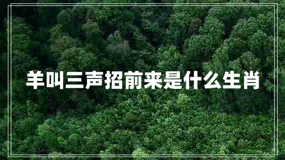 羊叫三聲招前來是什么生肖