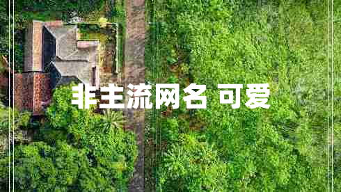 非主流網(wǎng)名 可愛